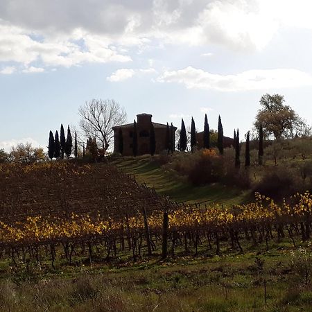 Podere Pievina Delle Corti - Dimora Di Campagna Sinalunga Exterior photo