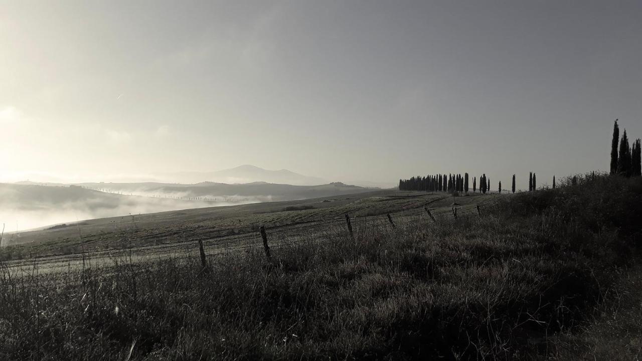 Podere Pievina Delle Corti - Dimora Di Campagna Sinalunga Exterior photo