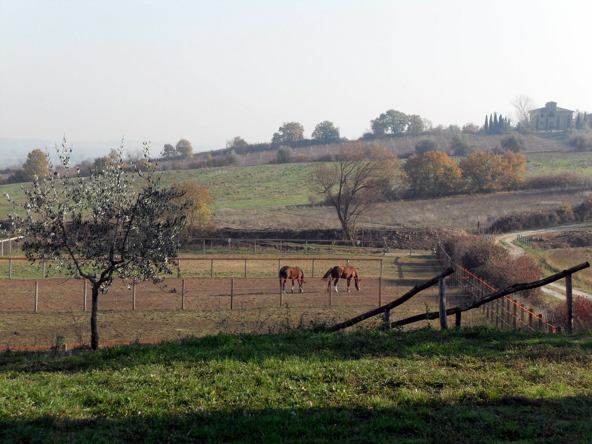Podere Pievina Delle Corti - Dimora Di Campagna Sinalunga Exterior photo